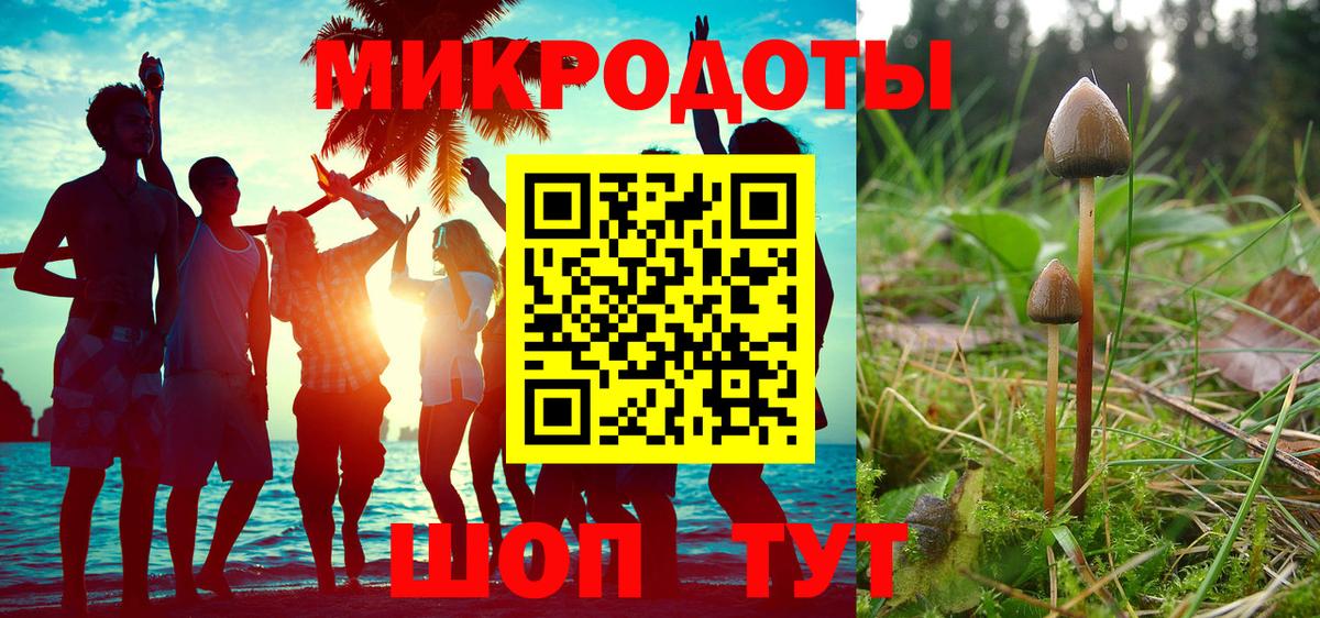 Псилоцибиновые грибы Psilocybine cubensis  Вход с VPN  Калининград 
